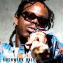 bushwickbill.jpg